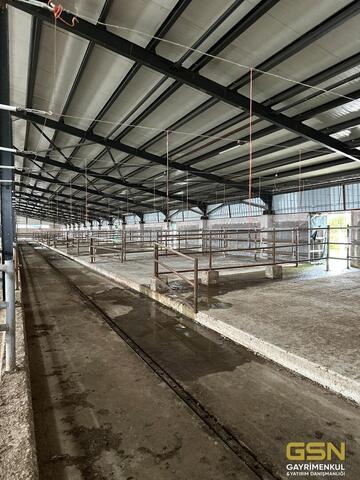 27-GSN GAYRİMENKUL'DEN AVRUPA STANDARTLARINDA RUHSATLI BESİÇİFTLİĞİ